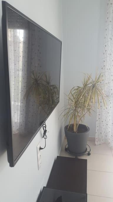 Apartment Two Bedroom Modern